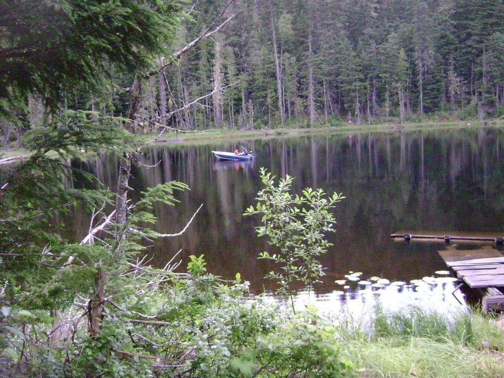 Blue River Cabins & Campgrounds Zewnętrze zdjęcie